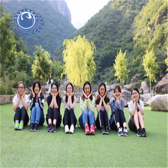 도매 사냥 허리 가방 맞춤형 전술 방수 총 슬링 샷